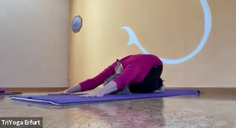 Yoga in Erfurt - TriYoga Center Erfurt Flowing Cobra